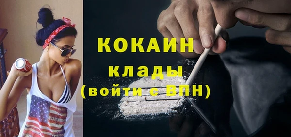 mix Бородино
