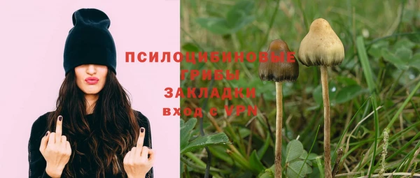 mix Бородино