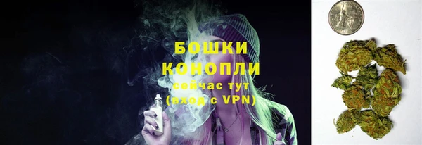 spice Богородск