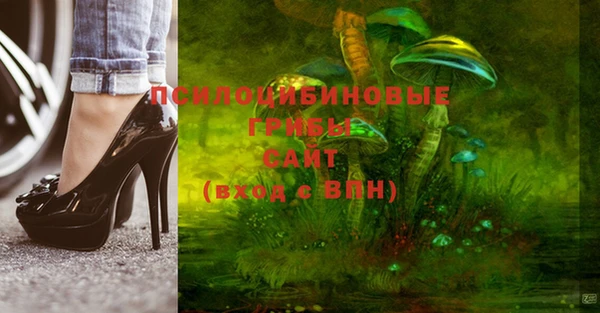 молекула духа Бронницы