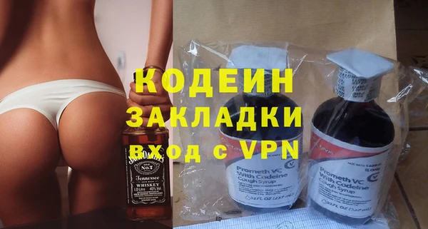 индика Богородицк