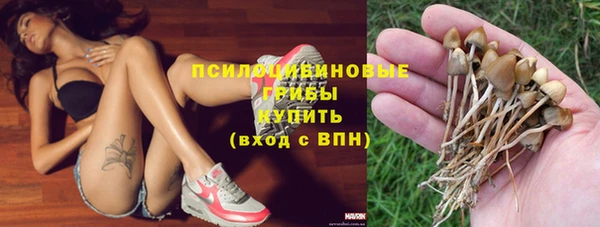молекула духа Бронницы